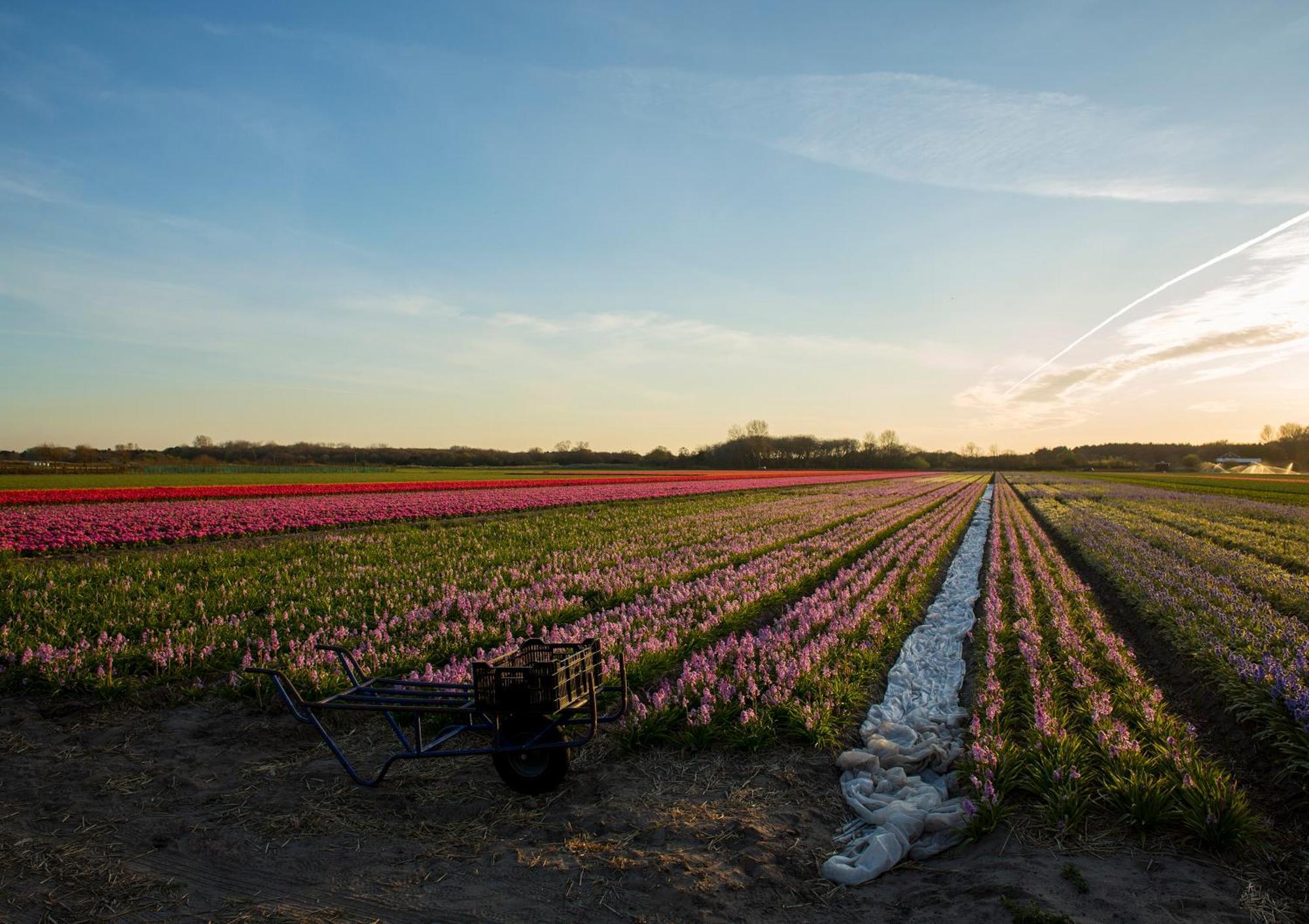 Dw Castricum 호텔 외부 사진